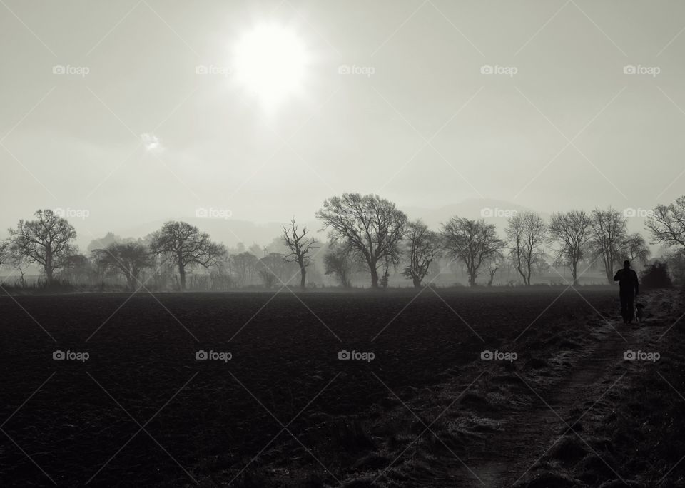 Foggy Afternoon walk with dog, Scotland