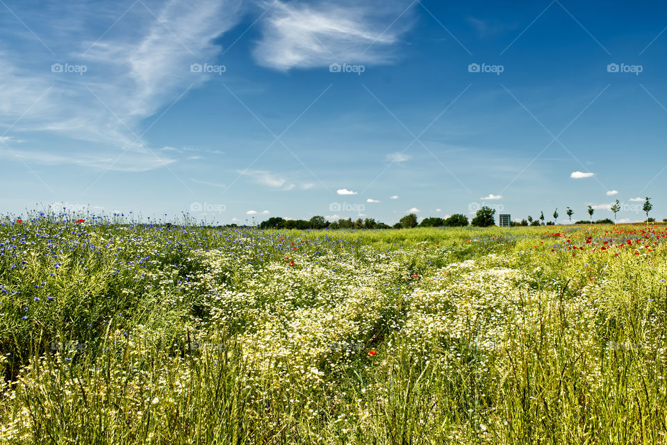 Landschaftsbild