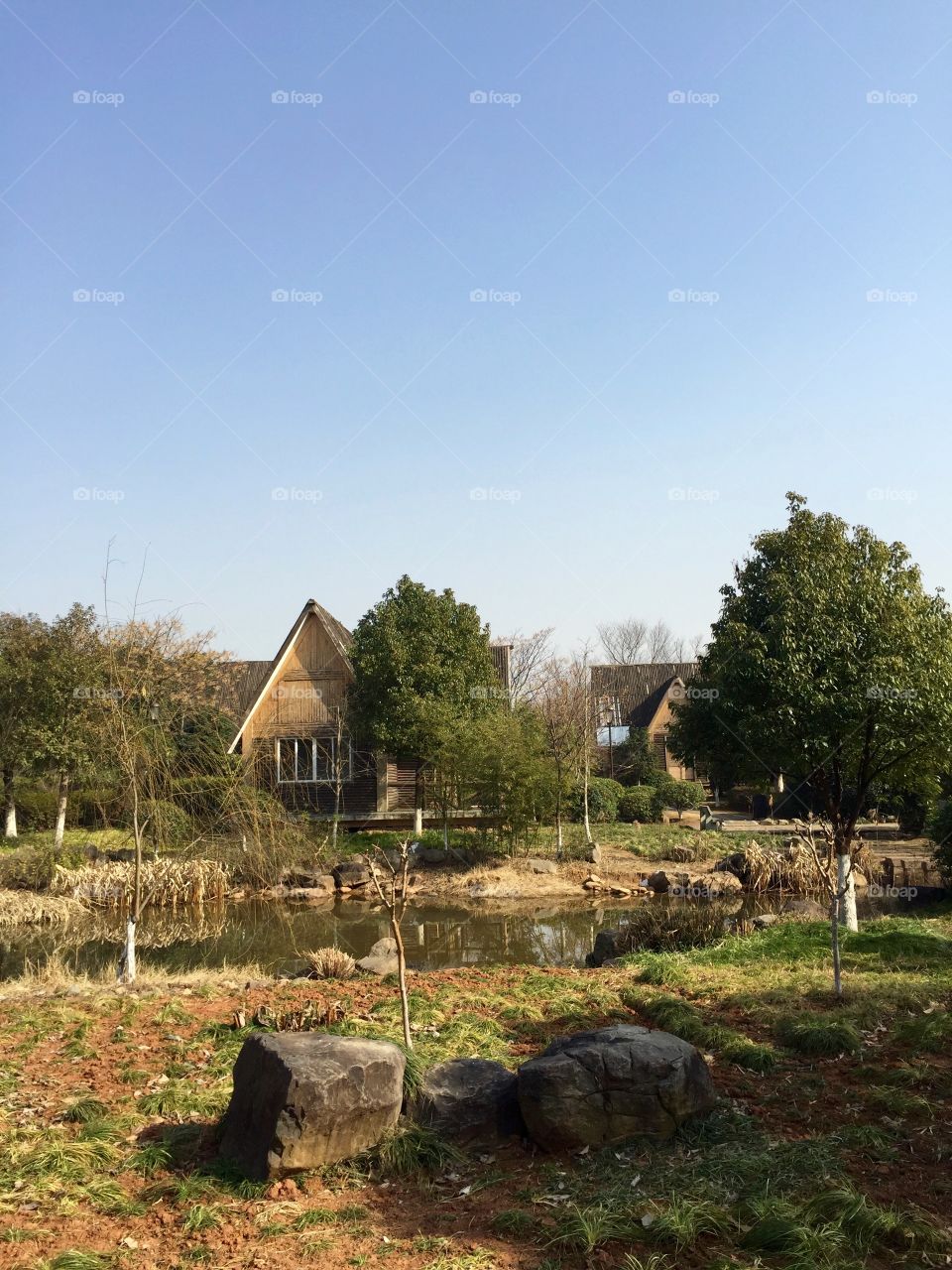 A park in the middle of busy city center