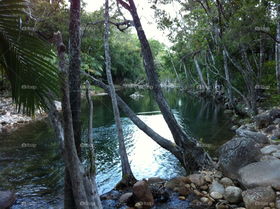 Peace and quiet in Finch Hatton Gorge 