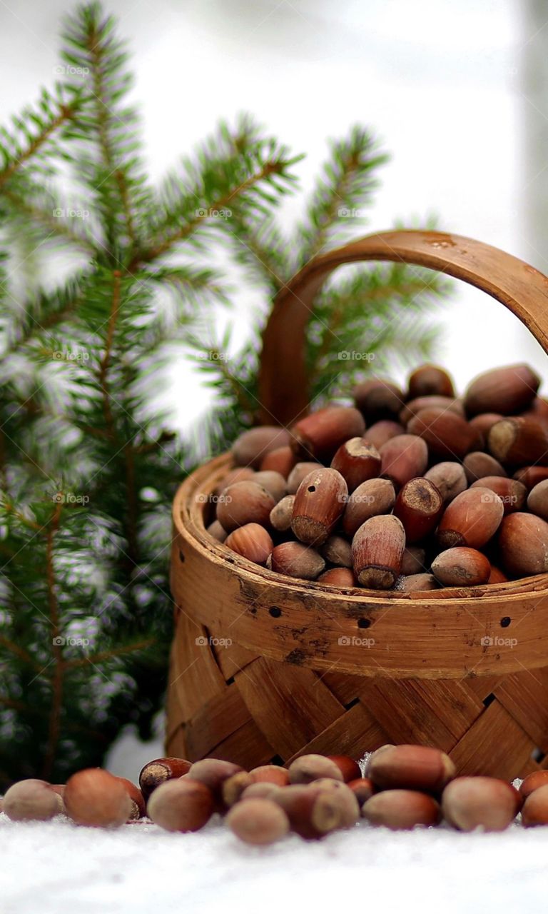 Food contains the nutrition that people and animals need to be healthy. The consumption of food is normally enjoyable to humans. It contains protein, fat, carbohydrates, vitamins, water and minerals.