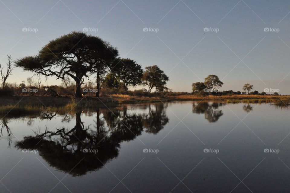 Reflections on the Okavango River Botswana