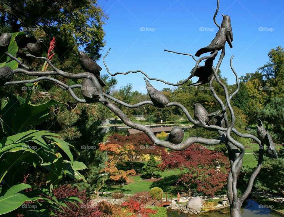 Birds' Eye View Over Schedel Gardens