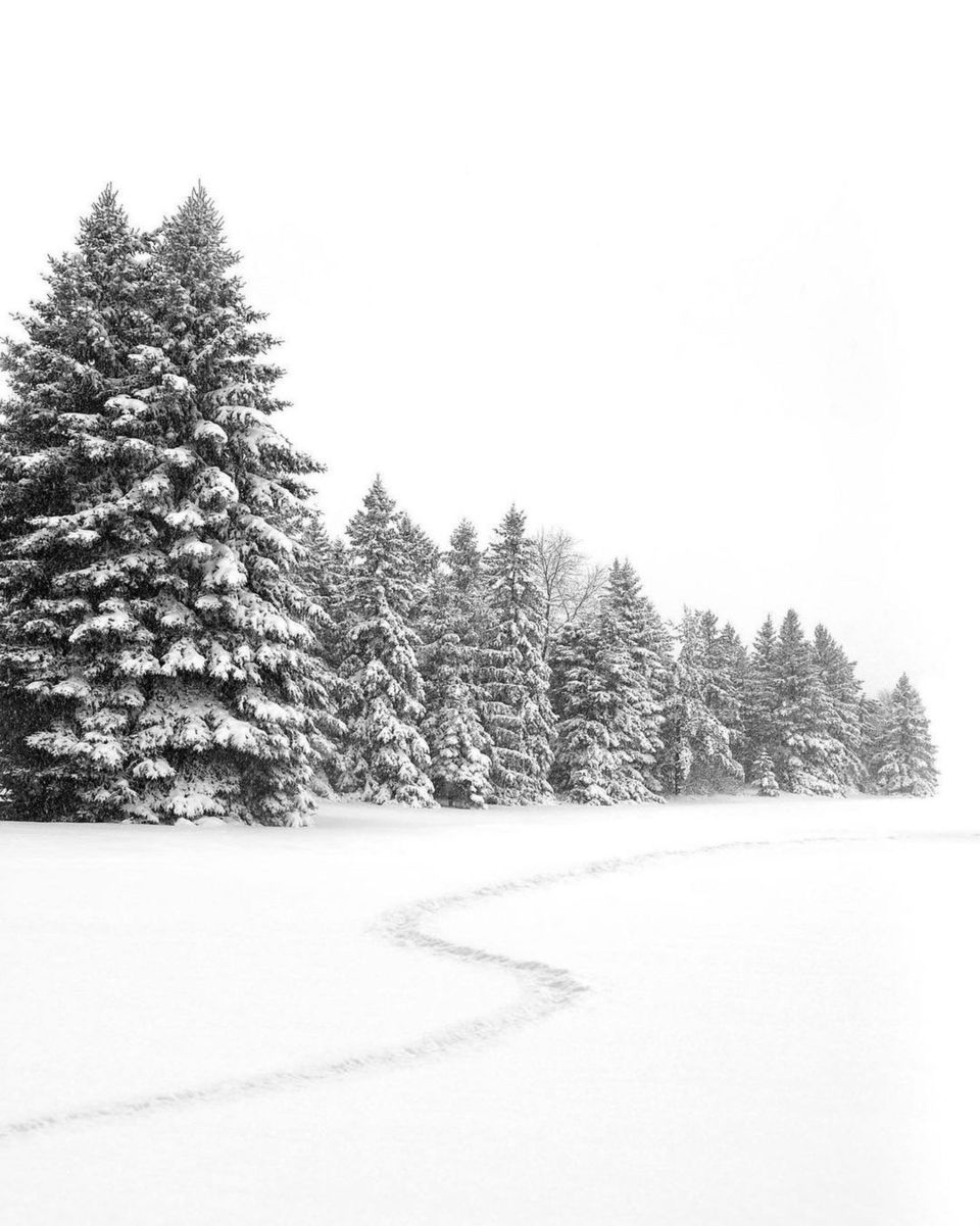 There’s something oddly peaceful about hiking in snowstorm