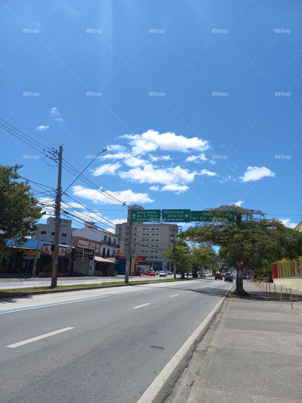 Belíssima avenida arborizada; Céu azul anil bordado de nuvens e enfeitada com o brilho do Sol