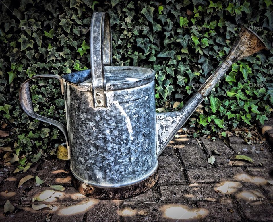 Old Watering can