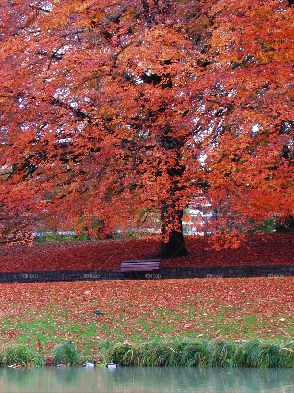 In the park