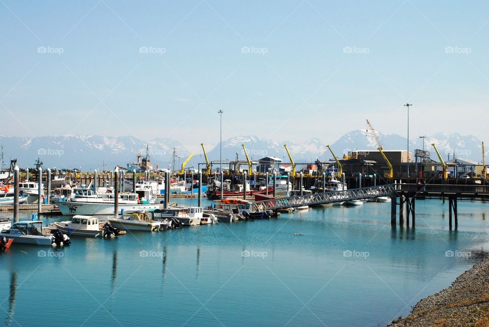 Harbor in Homer