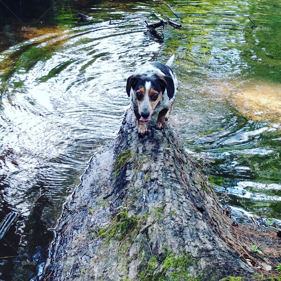 Water logged
