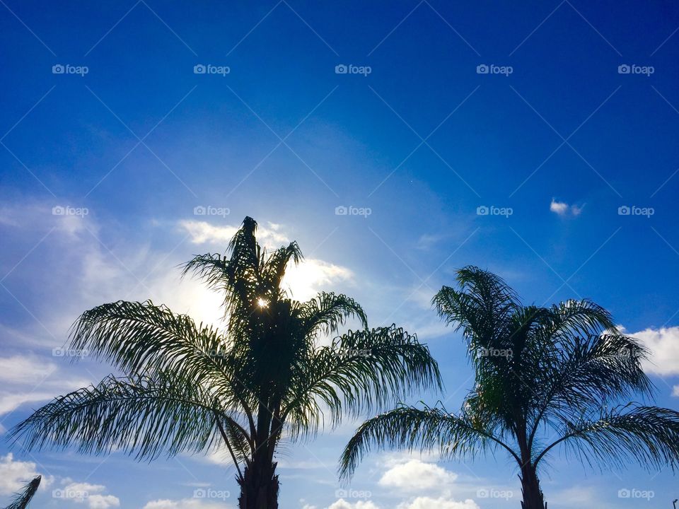 Sunshine in paradise 