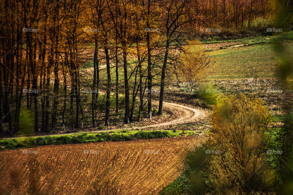 Autumn in my neighborhood