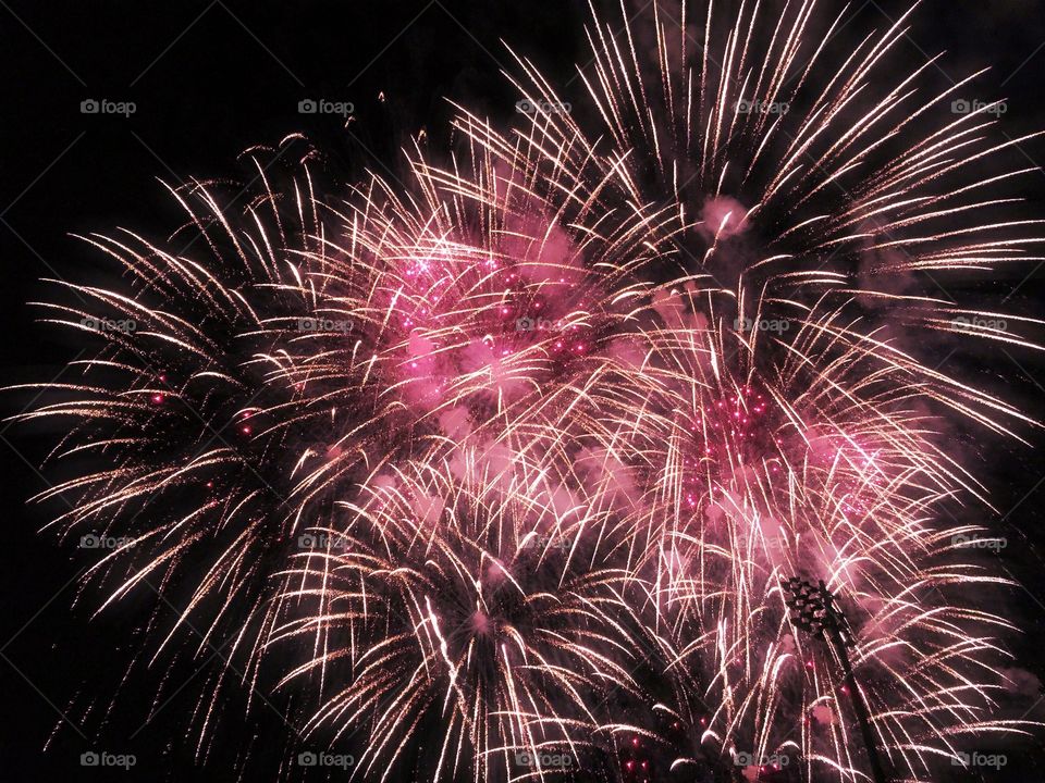 Pink fireworks 