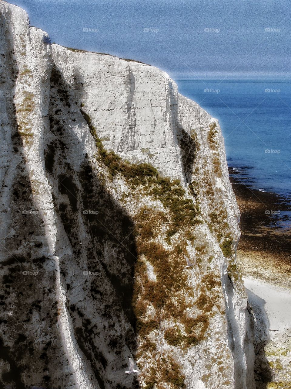 Cliffs. White cliffs of Dover 