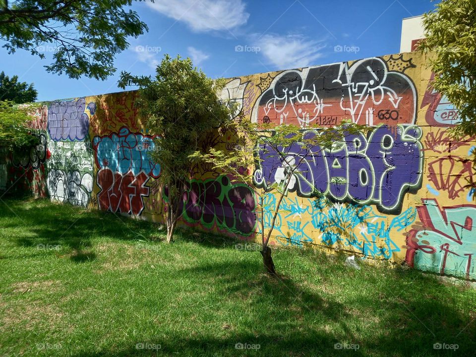 Um canto verde entre cores