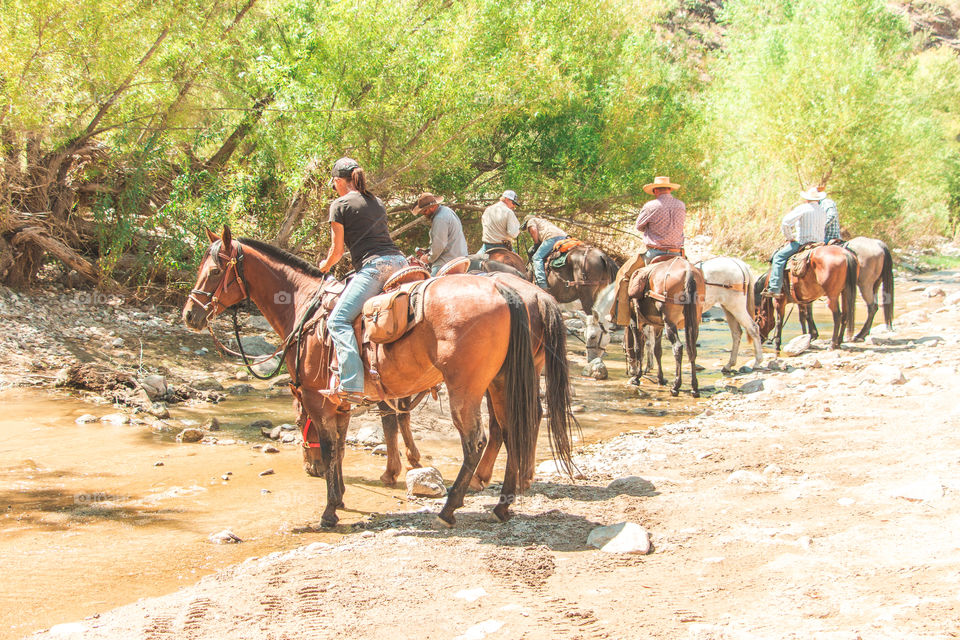 Cowboys and cowgirls 