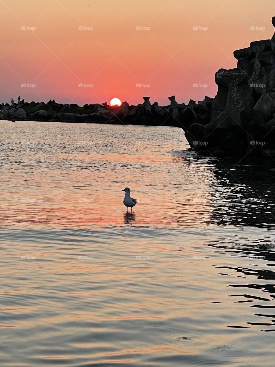 Sunset in the sea