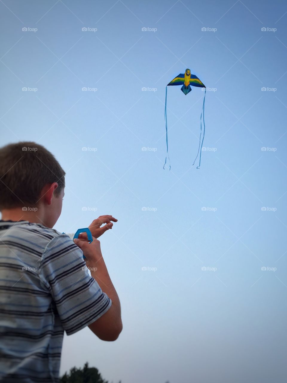 Boy and his Kite