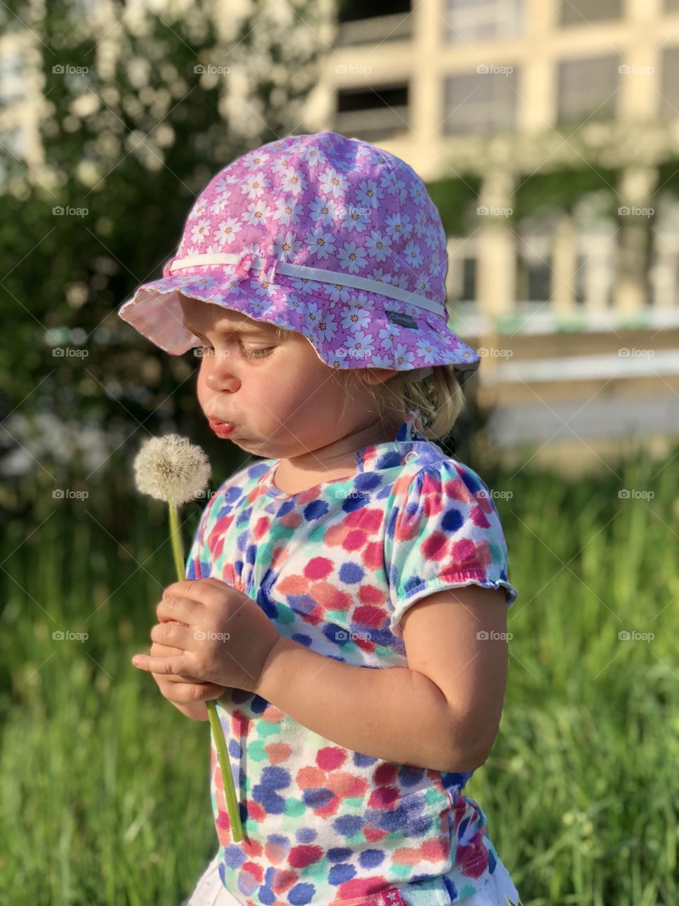 a girl blowing on a dandelion, a girl holding a beautiful dandelion flower in the rivers