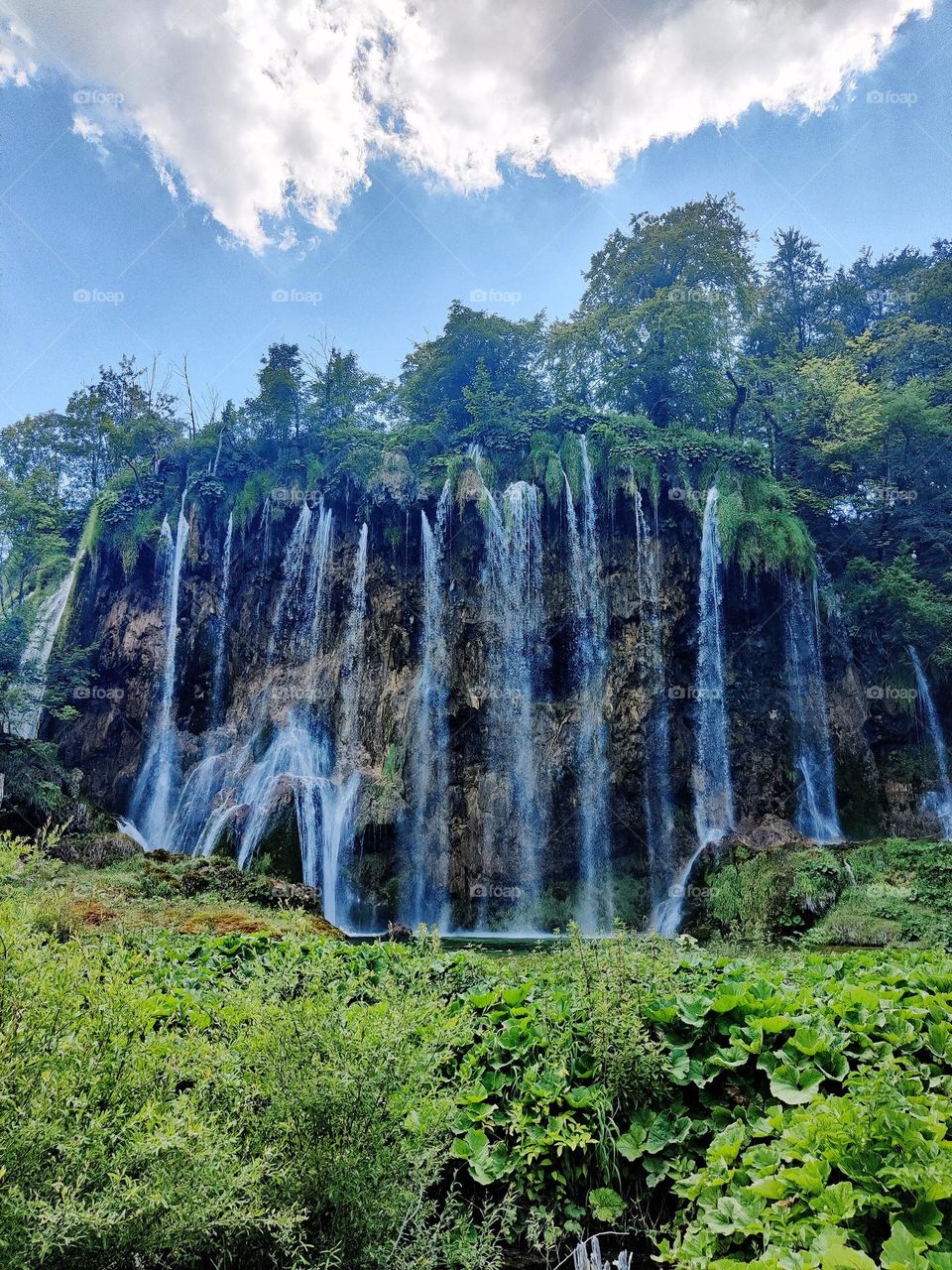 national park at Croatia 🇭🇷