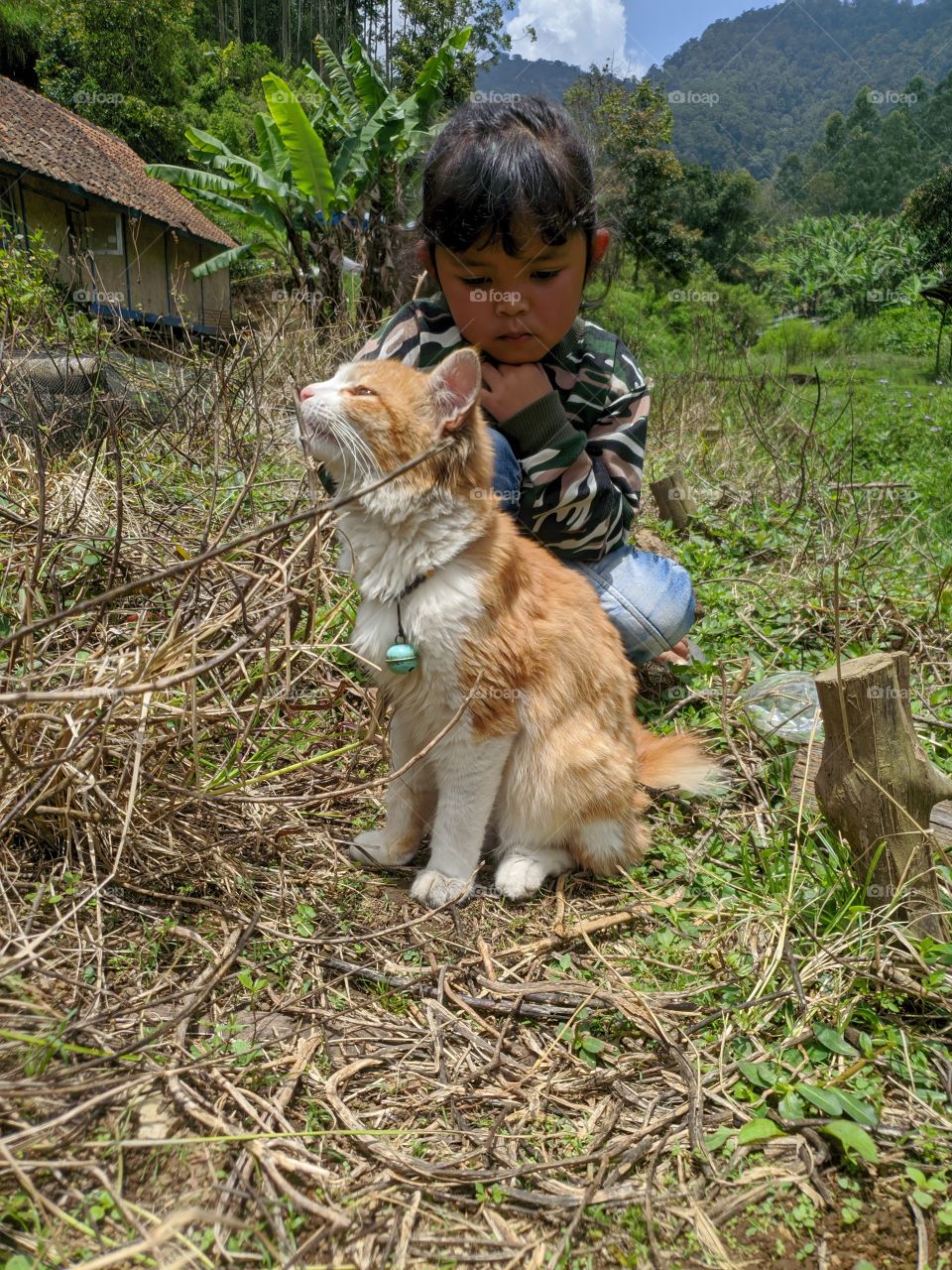 a little girl is playing with a cat