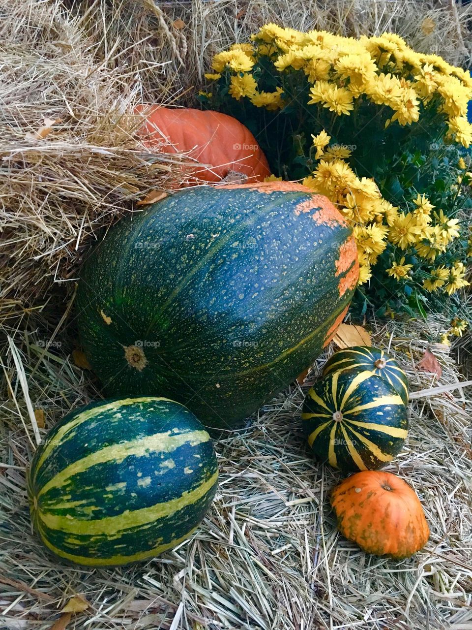 Autumn decor 