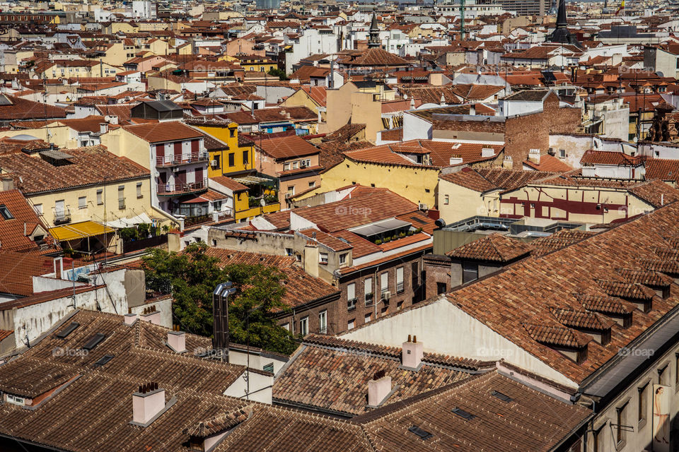Brown roofs