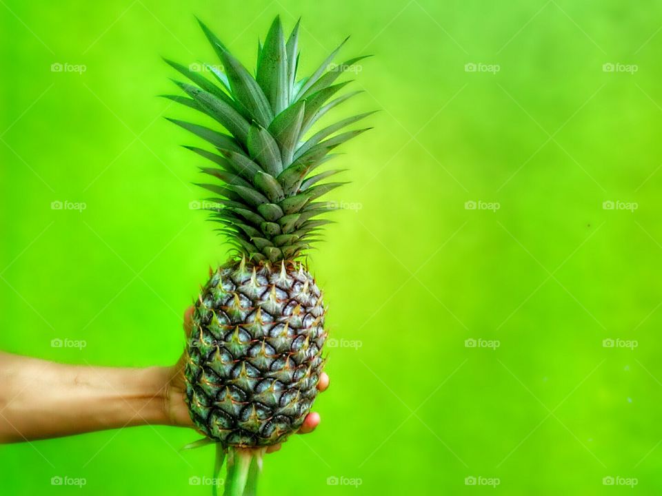 a pineapple