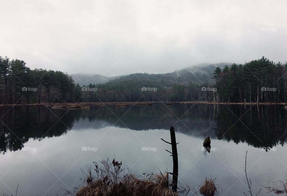 New Hampshire - Quincy Bog