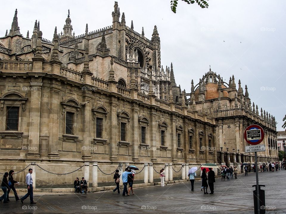 Catedral de sevilla