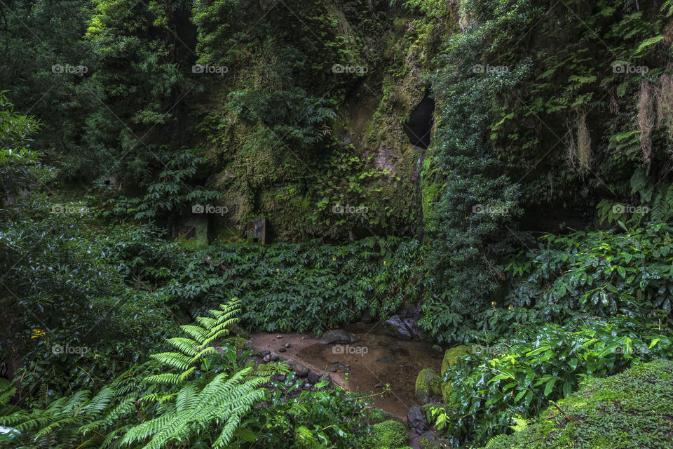 Janela do Inferno, a small cave in the middle of the forest in the island of Sao Miguel, Azores, Portugal.