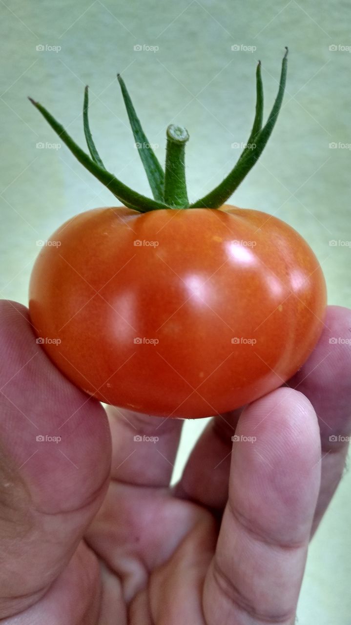 tomate