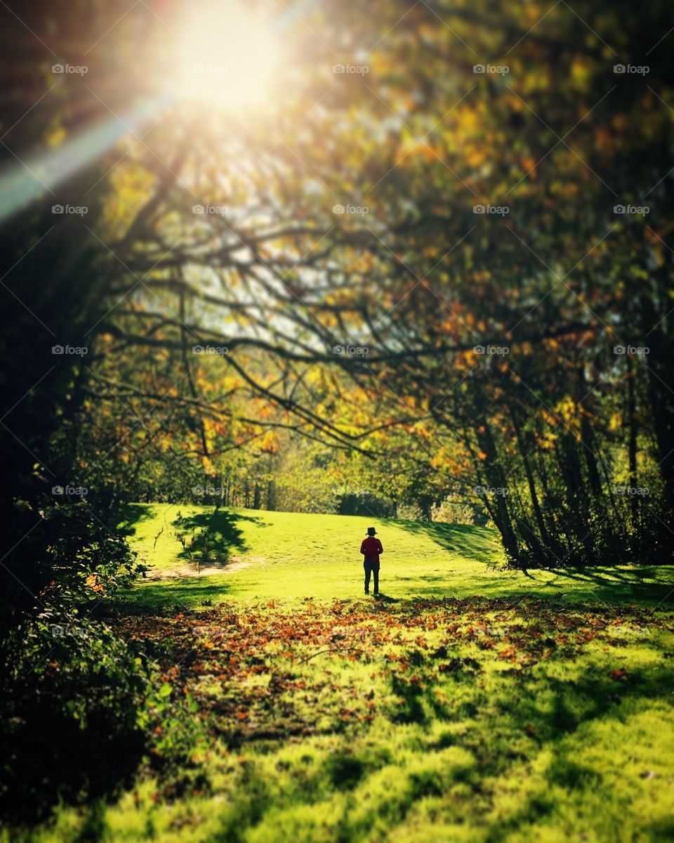 Waking amongst the autumn leaves