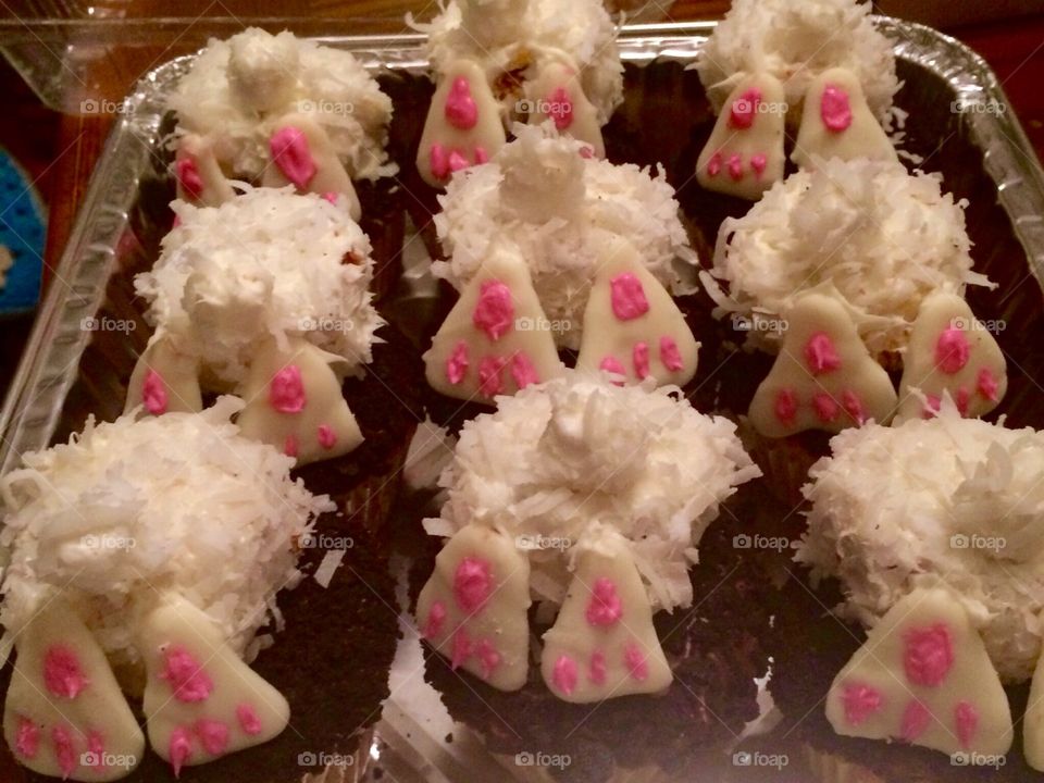 Bunny cupcakes 