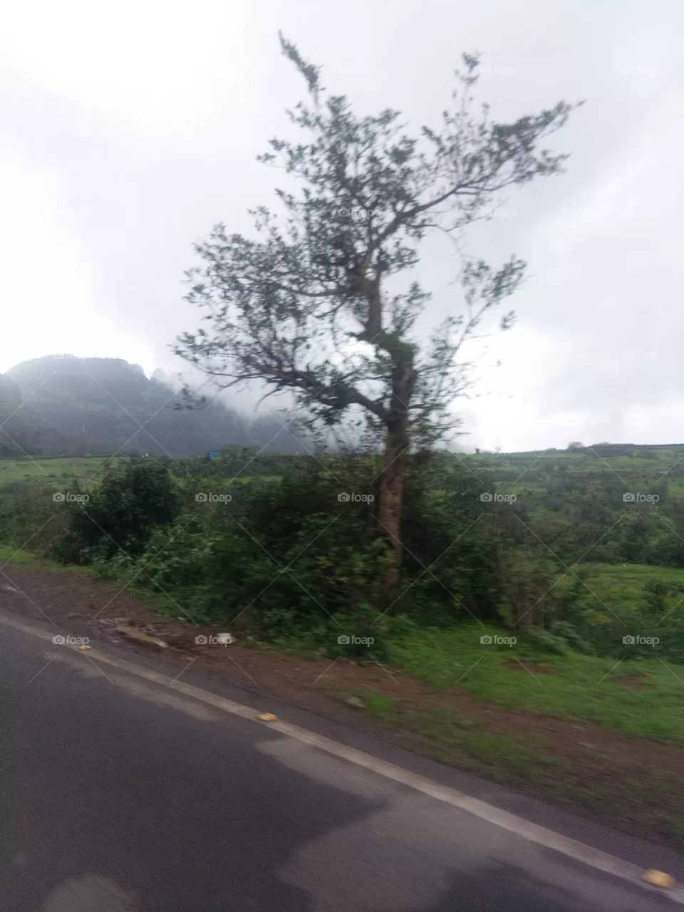 Mountain
