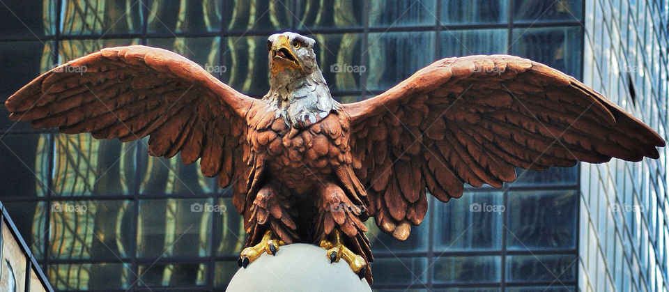 macro close central up by delvec