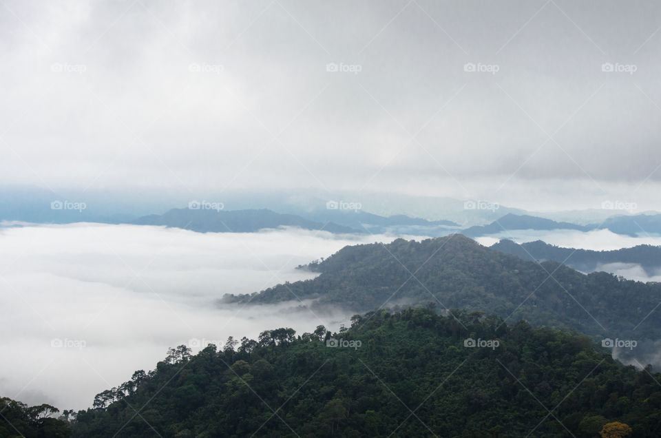 Sea of mist on the mountain.