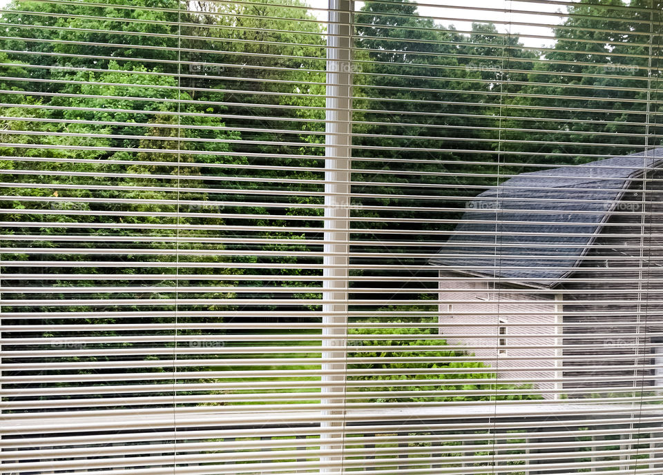 View of Victorian barn in the backyard through a window window blinds 