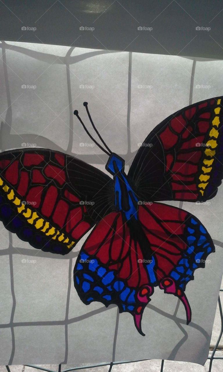 My Butterfly