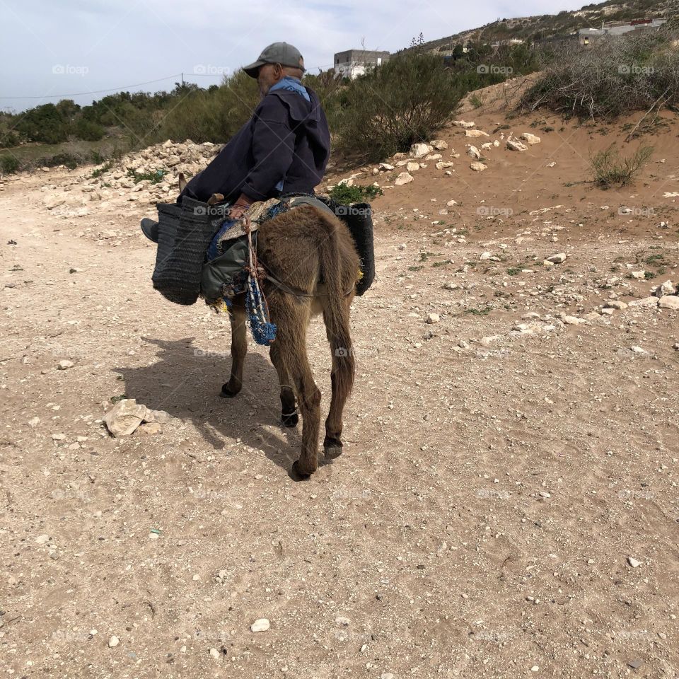 An old man on donkey 