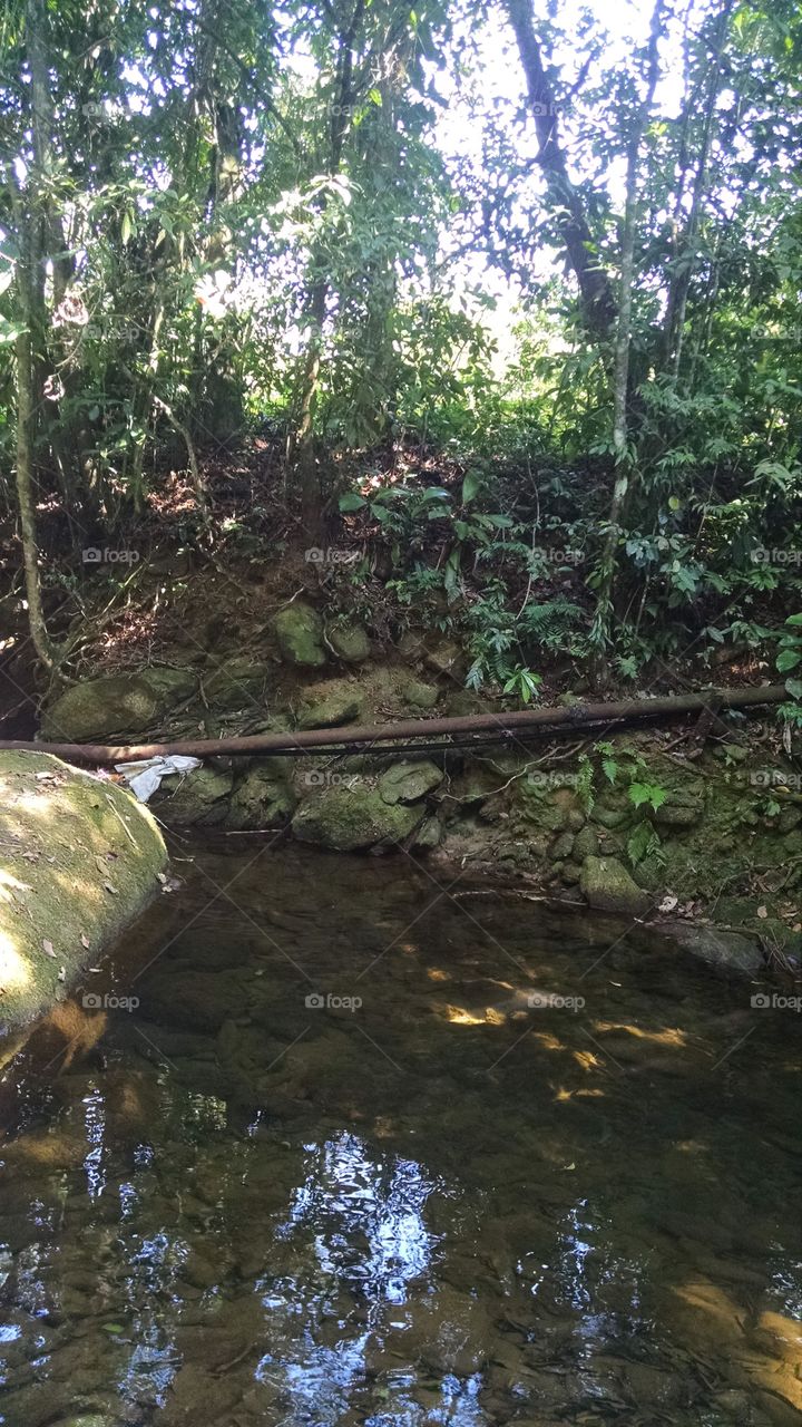 paisagem do Brasil em uma cachoeira