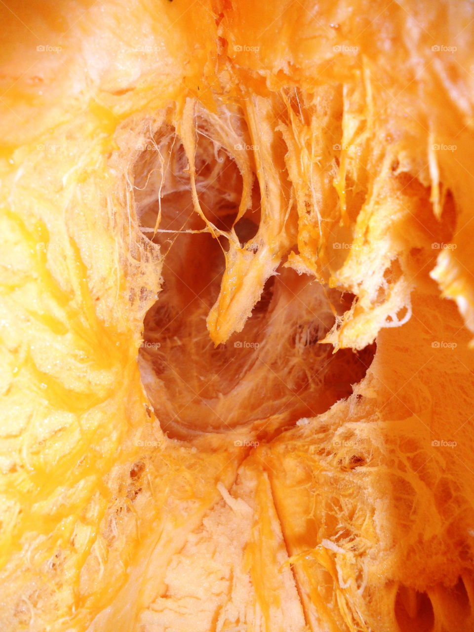 Beautiful mother nature