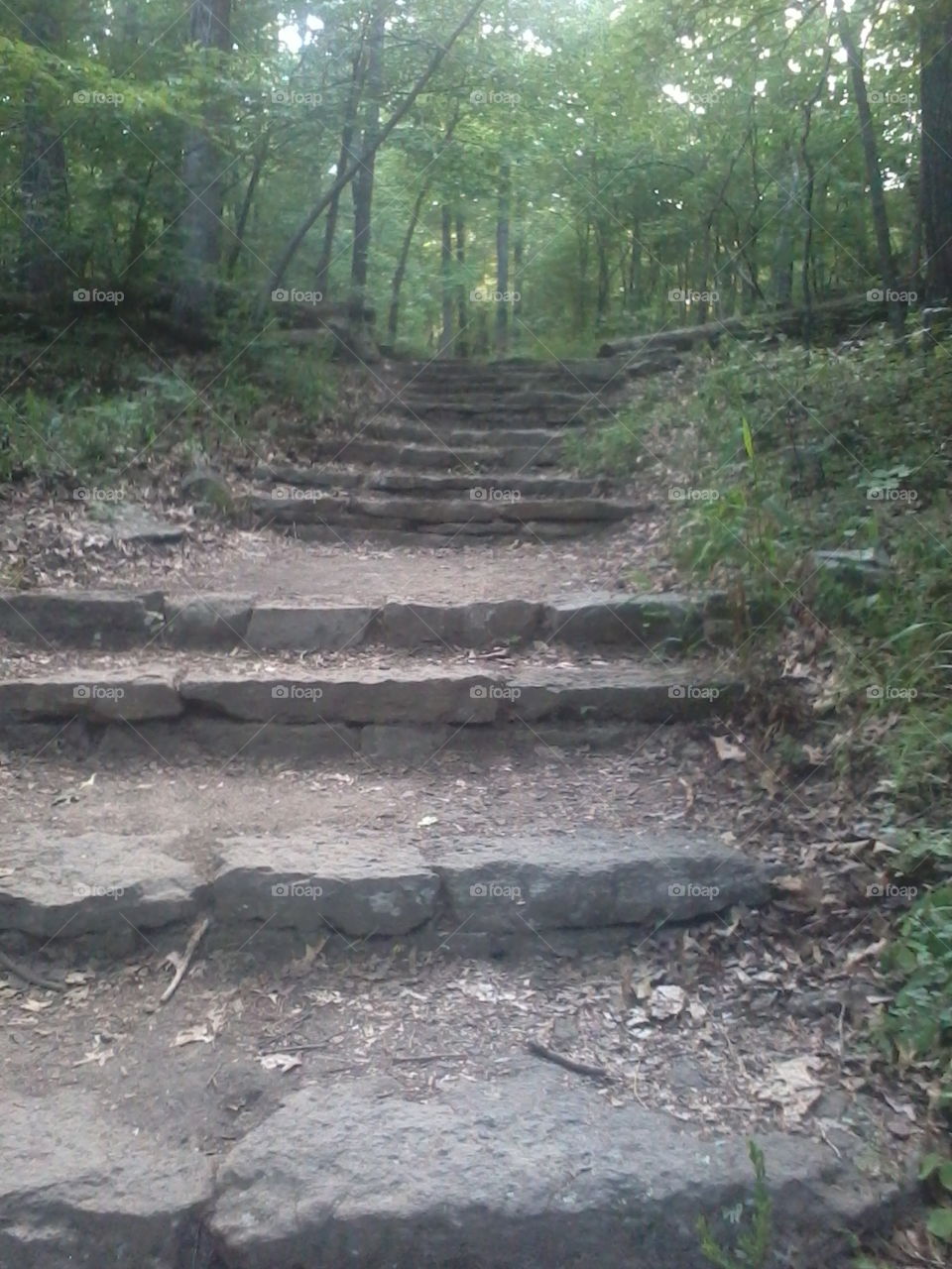nature's stairs. was at a state park