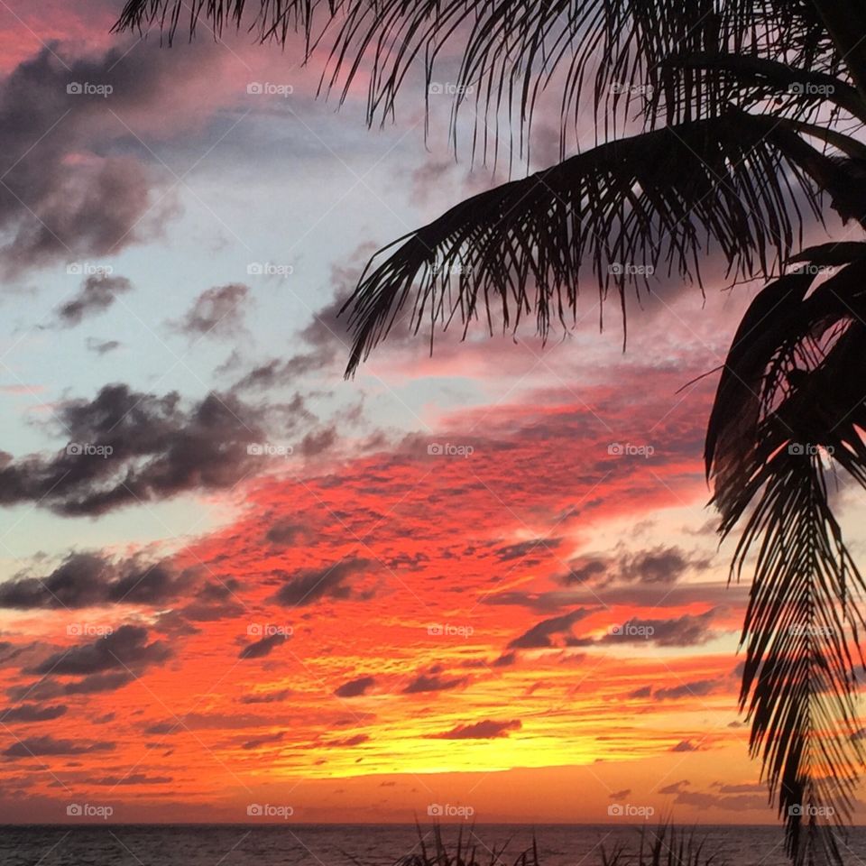 Amazing sunrise in Oceanridge FL