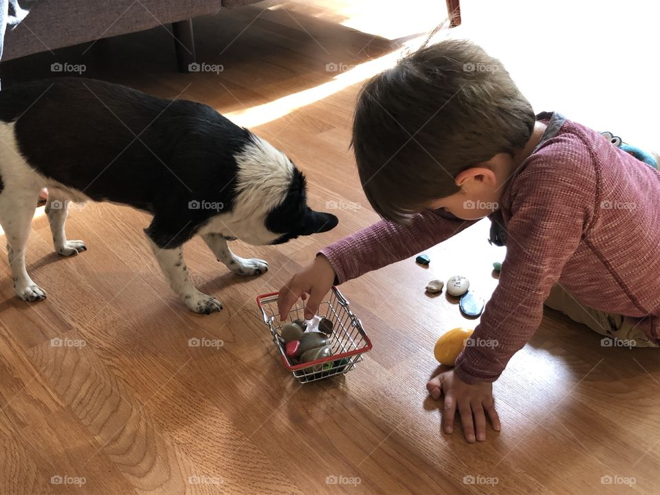 Toddler and dog playing with rocks