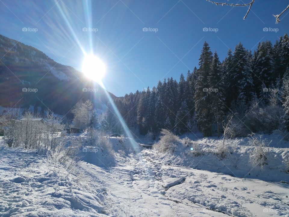 Winter dream land