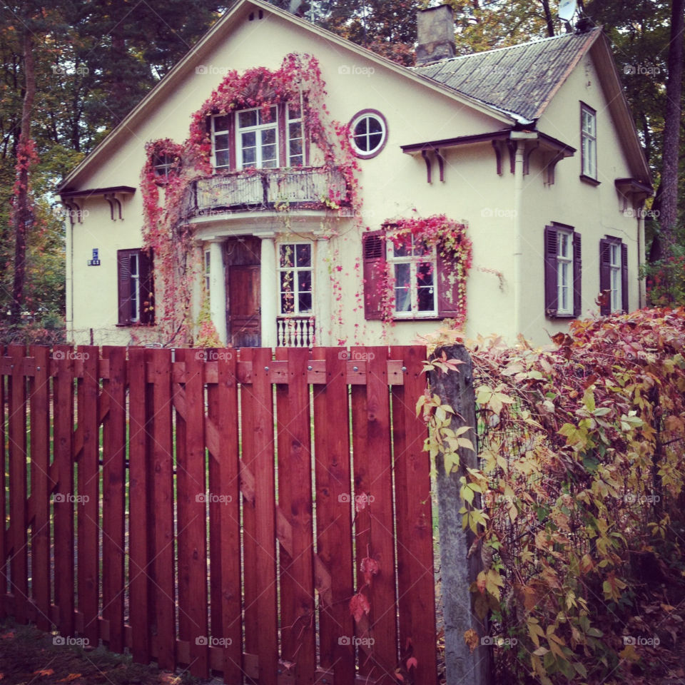 Autumn house