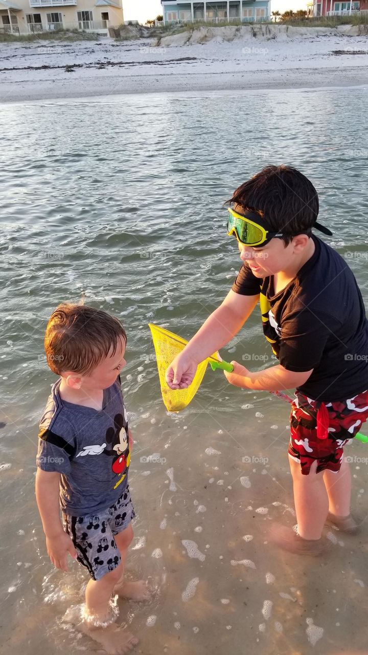 cousins collecting shells with a net during vacation to Gulf of Mexico