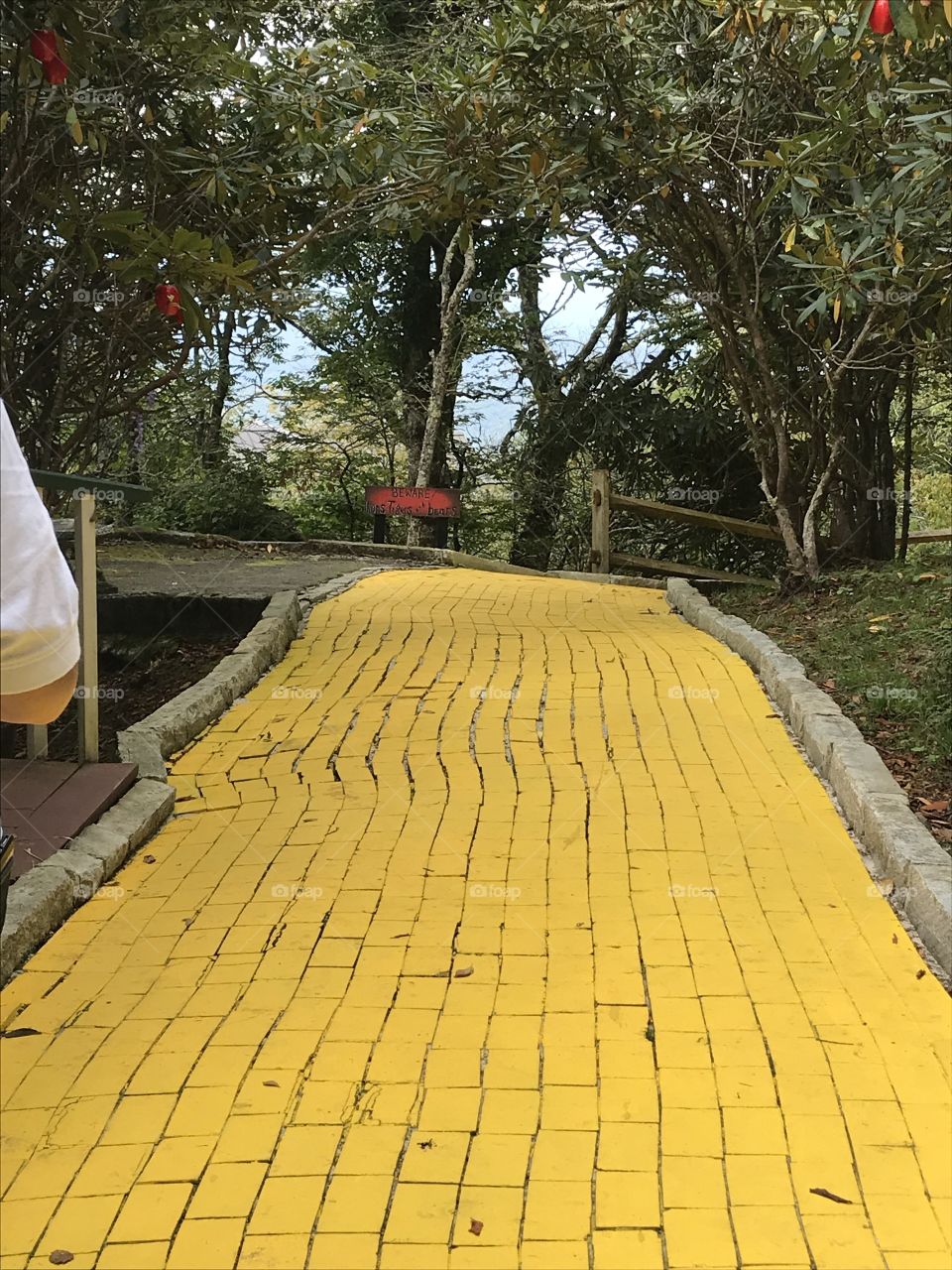 The yellow brick road 