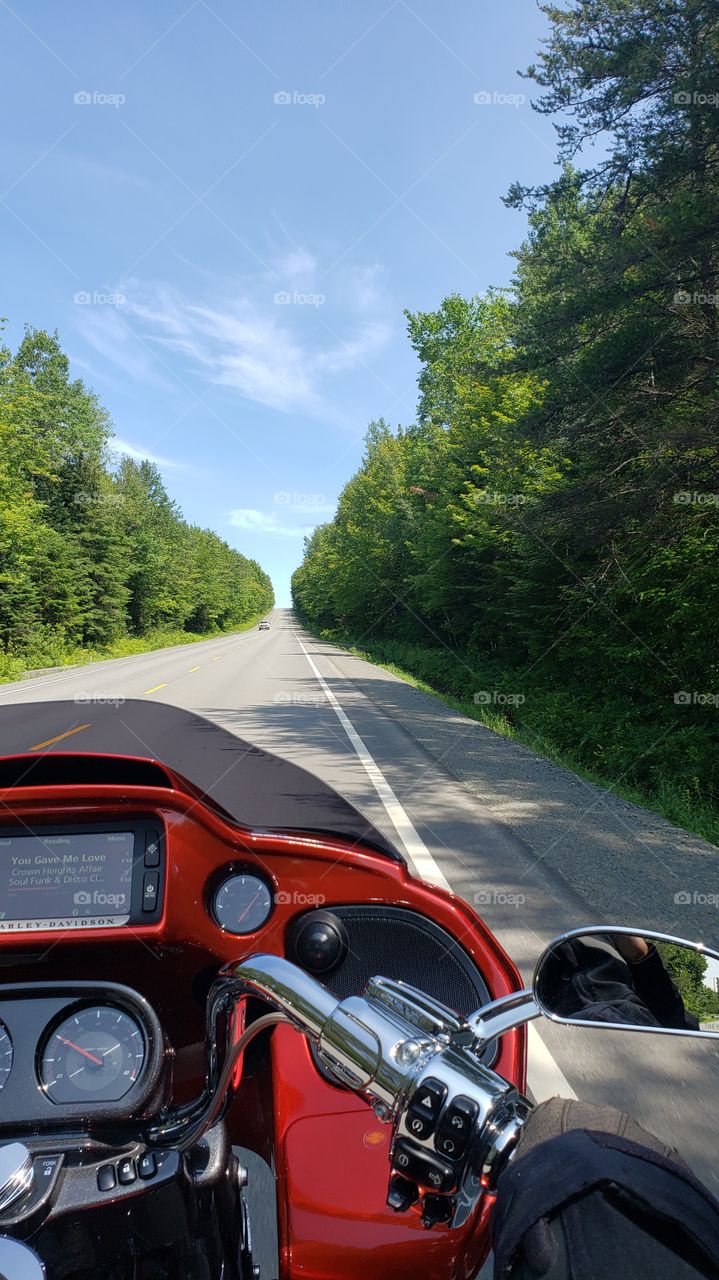 On the road in summer "