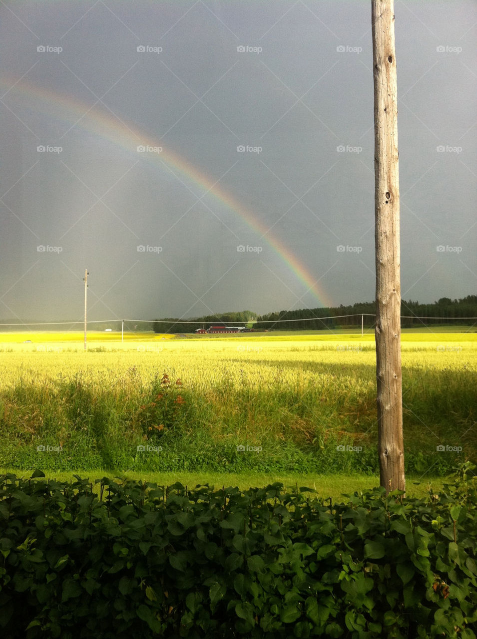 sweden sommar rainbow örsundsbro by daysofangie